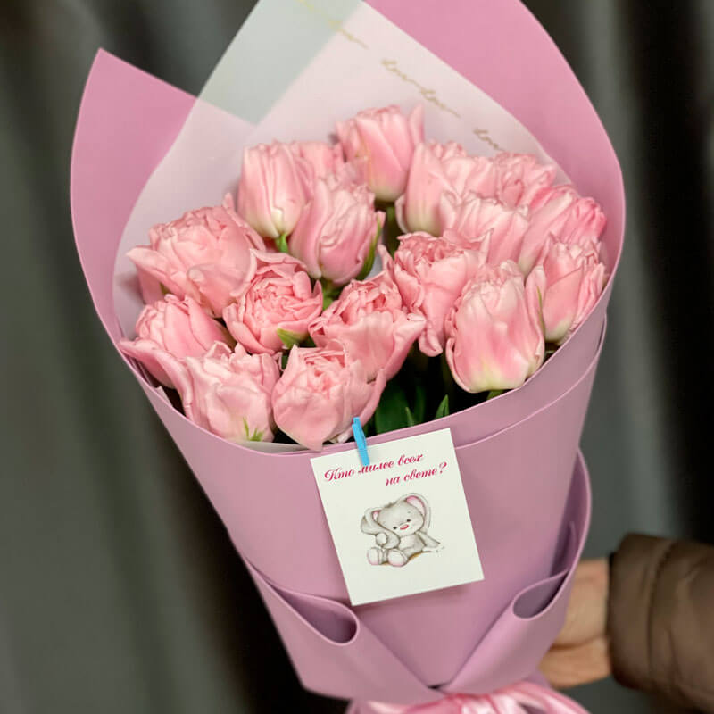 Тюльпаны Dreamer (10шт. в уп.)