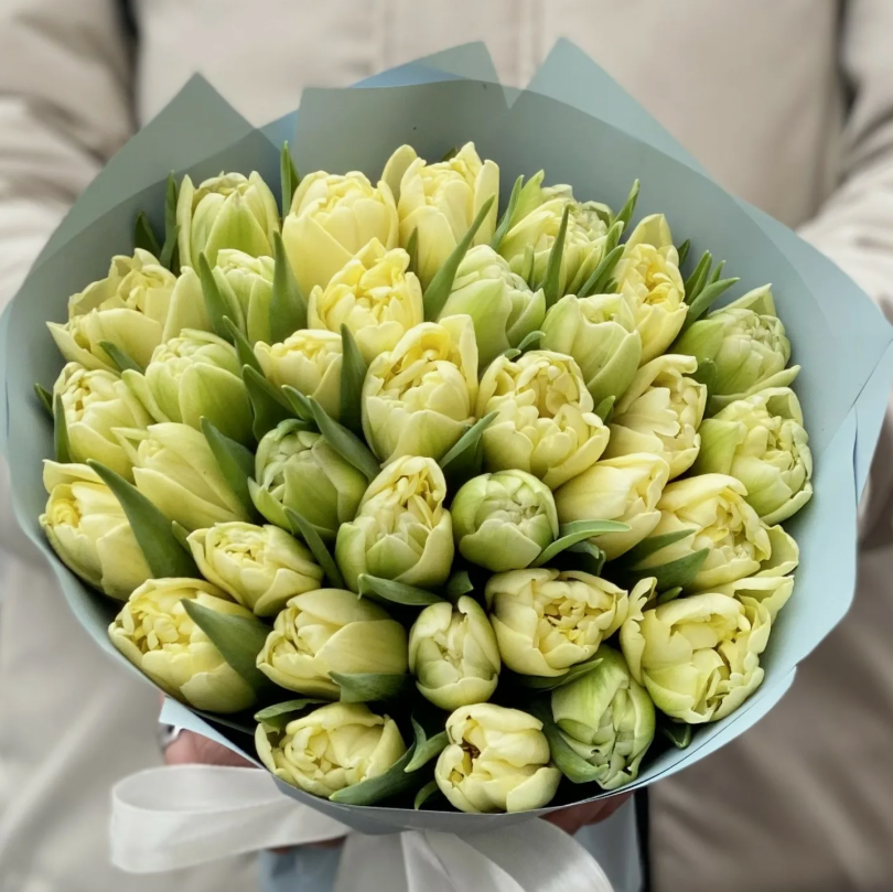 Тюльпаны Avant Garde (10шт. в уп.)