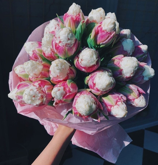 Тюльпаны Ice Cream (10шт. в уп.)