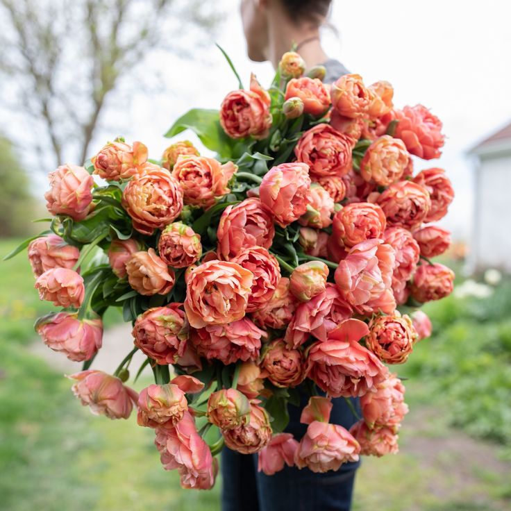 Тюльпаны Copper Image (10шт. в уп.)