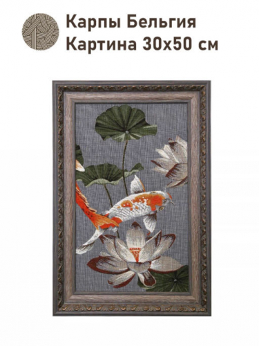 Карпы Бельгия Картина 30х50 см 2518527 Винтажная рама