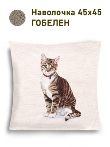 Породы кошек Британ Сидит Наволочка 45х45 см 2517861 New