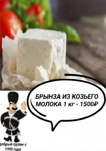 Брынза из козьего молока