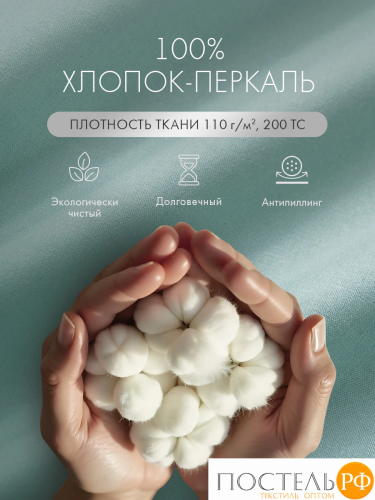 DOME НЕСТОРА К-т наволочек 70х70-2, 2 пр., хл.