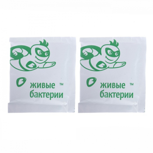 Средство для дачных туалетов и биотуалетов «Зелёная сосна» Биоактиватор, 300 г