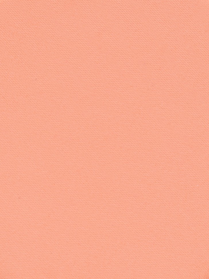 Romantic Note Румяна Blush, тон 05