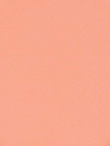 Romantic Note Румяна Blush, тон 05