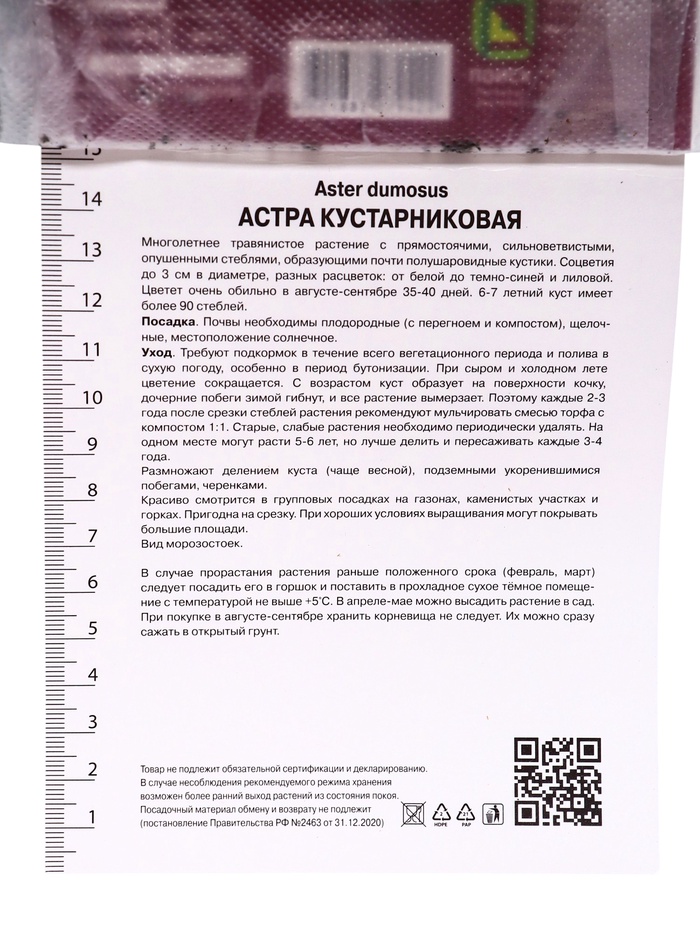 Астра кустарниковая «Аполло», корневище в пакете с торфогрунтом, р-р I, 1 шт.