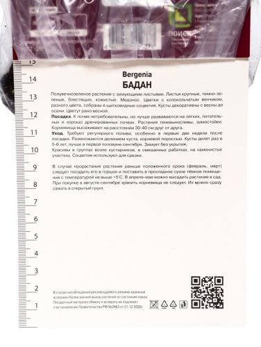 Бадан гибридный «Брессингем Вайт», корневище в пакете с торфогрунтом, р-р I, 1 шт.