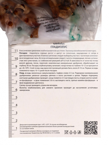 Гладиолус крупноцветковый «Джестер», луковица цветов в пакете с перфорацией, р-р 10/12, 10 шт.