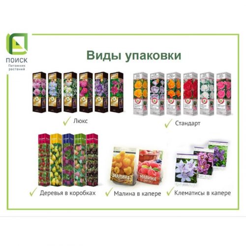 Йошта (крыжовник х смородина, йоштаберри) «Рекст» 1 шт., туба
