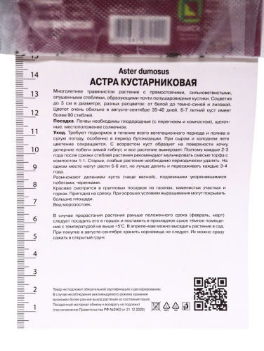 Астра кустарниковая «Аполло», корневище в пакете с торфогрунтом, р-р I, 1 шт.