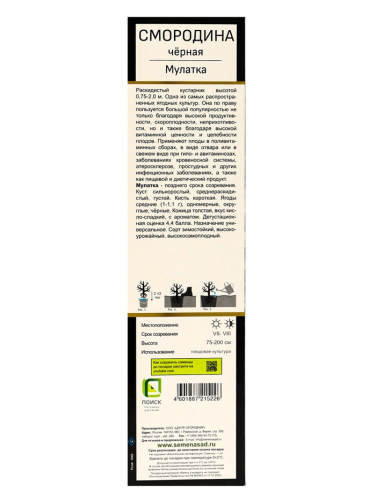 Смородина черная «Мулатка », перспективные сорта, саженец, плодовый, 1 шт., туба