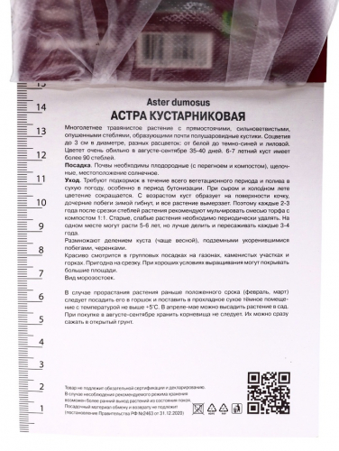 Астра кустарниковая «Блау Лагуне», корневище в пакете с торфогрунтом, р-р I, 1 шт.