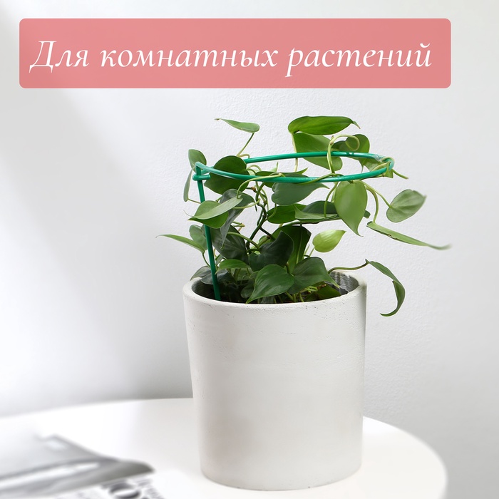 Кустодержатель для клубники, d=20 см, h=25 см, ножка d=0.3 см, металл, зелёный, Greengo