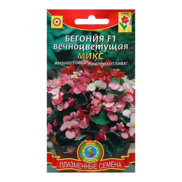 Семена Бегония вечноцветущая
