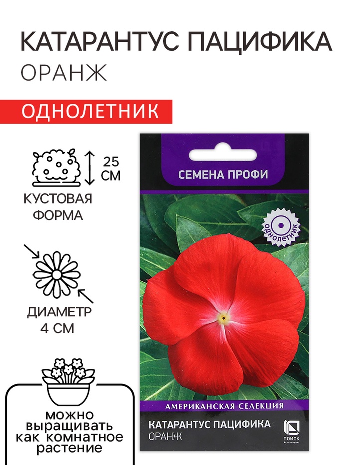 Семена цветов Катарантус Пацифика