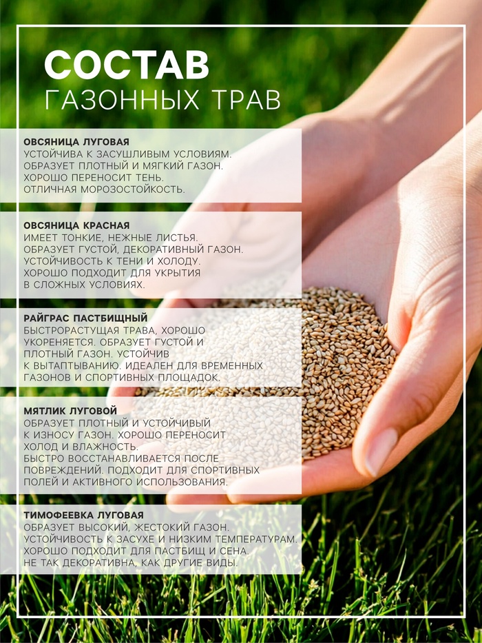 Газонная травосмесь «Детский» 5 кг