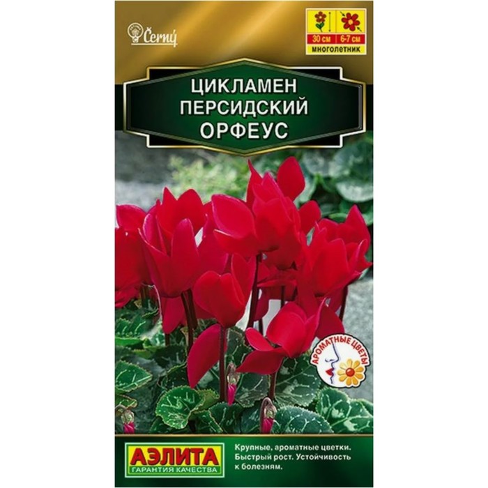 Семена Цикламен