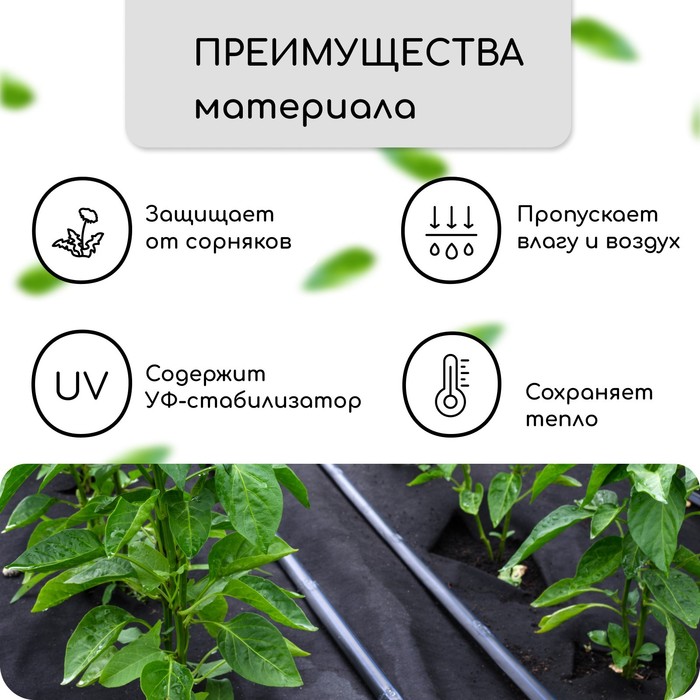 Материал мульчирующий, с перфорацией, 5×1.6 м, плотность 80 г/м², спанбонд с УФ-стабилизатором, чёрный, Greengo, Эконом 30%