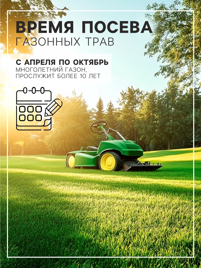 Газонная травосмесь «Мавританский » 0.5 кг