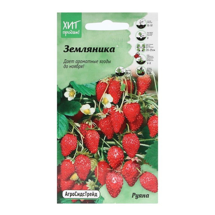 Семена Земляника