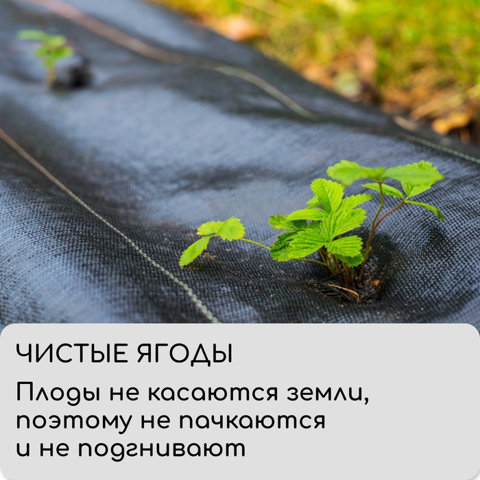 Агроткань застилочная, с разметкой, 5×1.1 м, плотность 100 г/м², полипропилен, Greengo, Эконом 50%