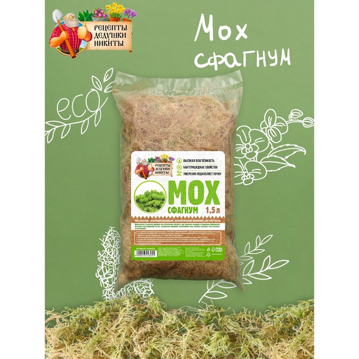 Мох сфагнум