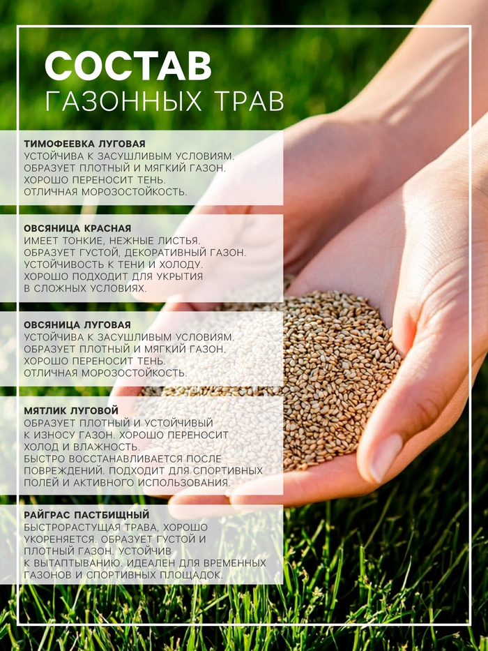 Газонная травосмесь «Универсальный», 100 г