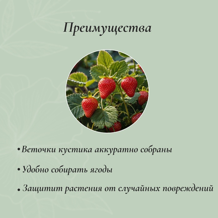 Кустодержатель для клубники, d=20 см, h=25 см, ножка d=0.3 см, металл, зелёный, Greengo