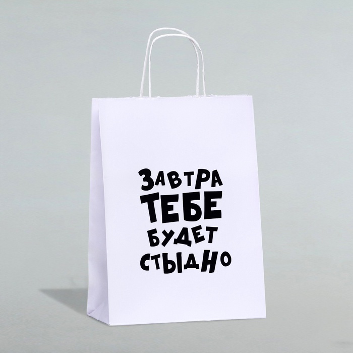 Пакет подарочный «Завтра тебе будет стыдно», 24×10.5×32 см, 1 шт.