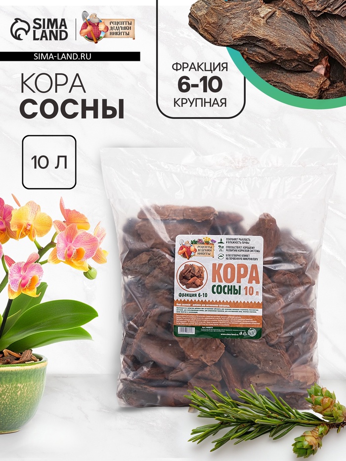 Кора сосны