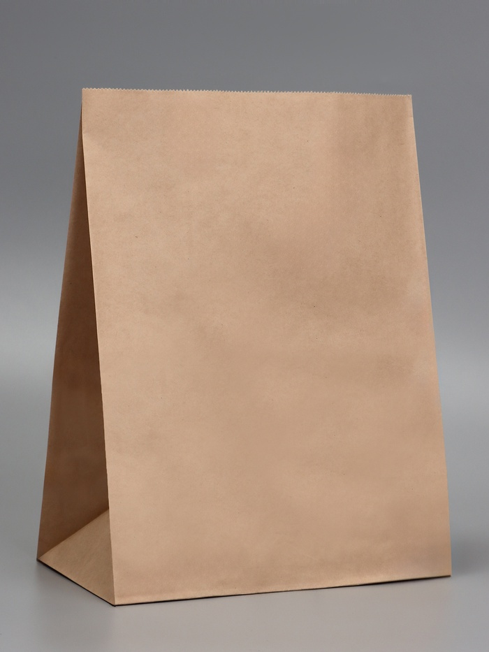 Пакет крафт бумажный фасовочный, прямоугольное дно 26×15×34 см 70 г/м², набор 50 шт.