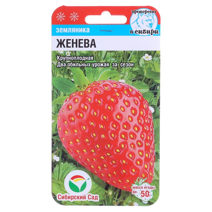 Семена Земляника