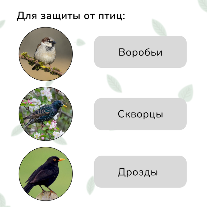 Сетка садовая, мягкая, 5×4 м, ячейка 15×15 мм, от птиц, Greengo