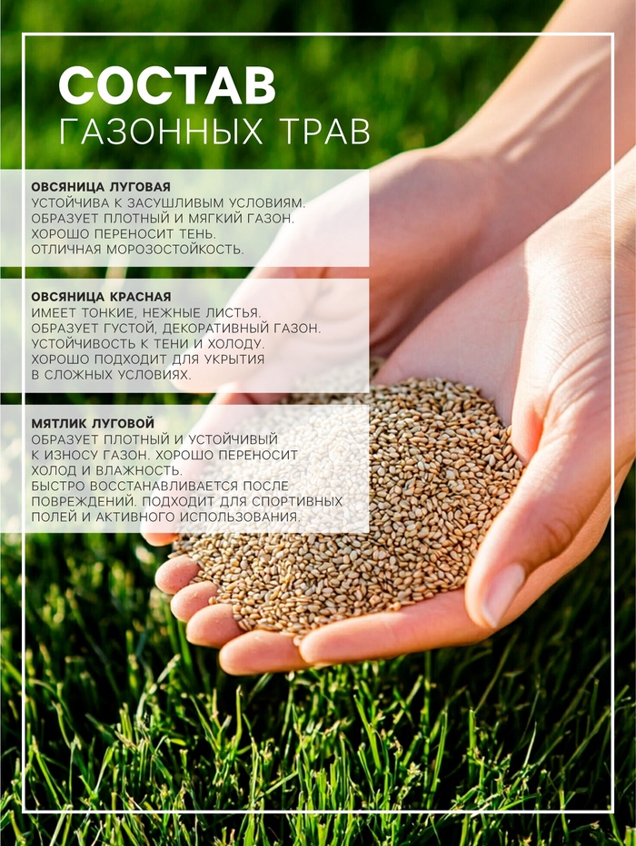 Газонная травосмесь «Красотень Гном», 0.5 кг