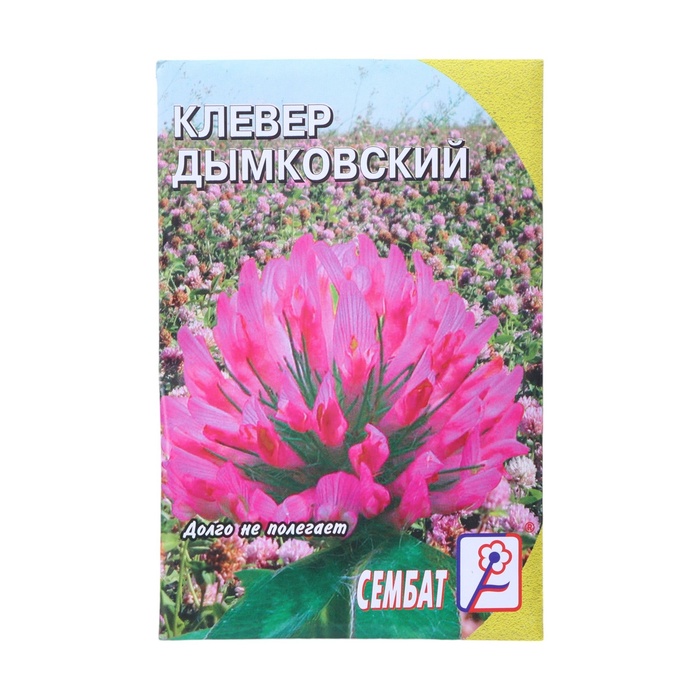 Семена Клевер