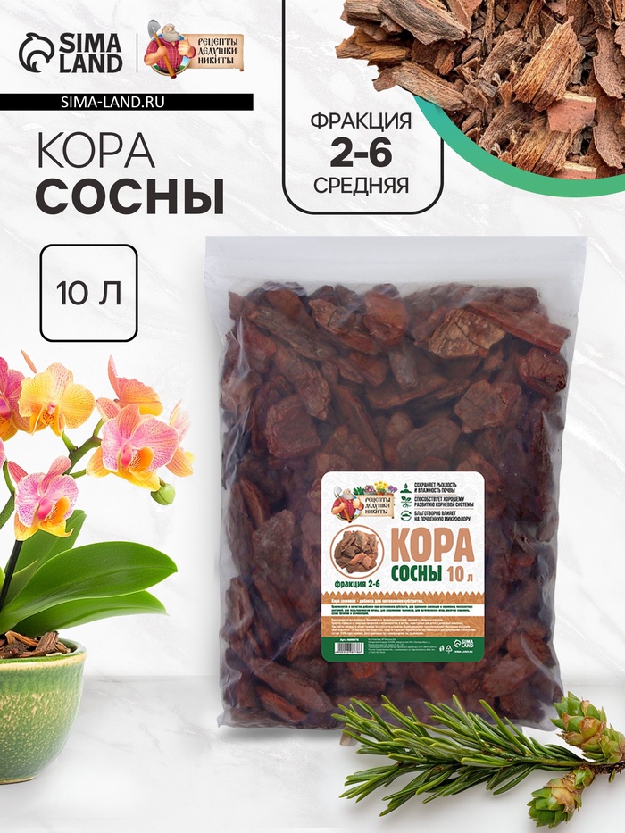 Кора сосны