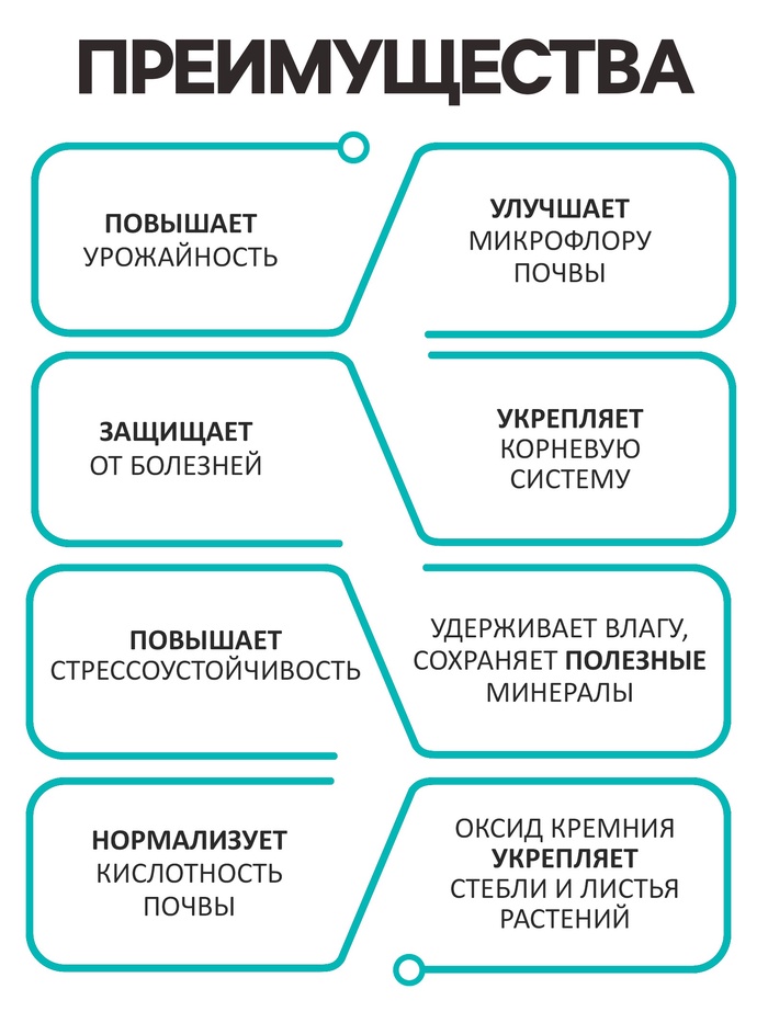 Диатомит
