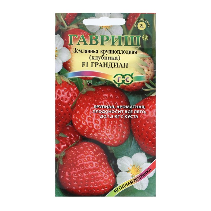 Семена Земляника