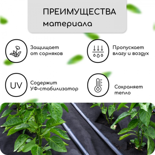 Материал мульчирующий, с перфорацией, 10 × 1,6 м, плотность 80 г/м², спанбонд с УФ-стабилизатором, чёрный, Greengo, Эконом 30%
