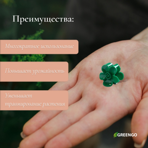 Клипса для растений «Незабудка», набор 10 шт., зелёный