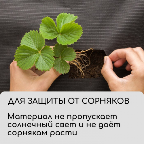 Материал для ландшафтных работ, 10×1.6 м, плотность 120 г/м², спанбонд с УФ-стабилизатором, чёрный, Greengo, Эконом 30%