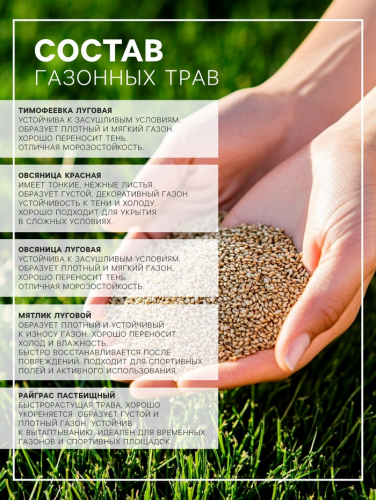 Газонная травосмесь «Спортивный» 0.5 кг