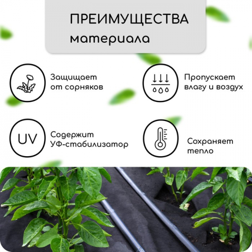 Материал мульчирующий, с перфорацией (4 ряда), 20×1.6 м, плотность 80 г/м², спанбонд с УФ-стабилизатором, чёрный, Greengo, Эконом 30%