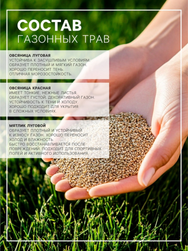 Газонная травосмесь «Красотень Гном», 0.5 кг