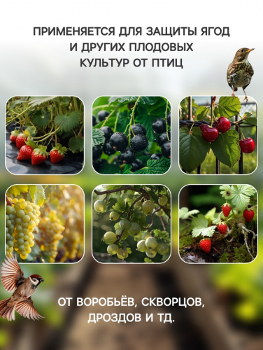 Сетка садовая, 2×10 м, ячейка ромб 6×6 мм, от птиц, пластиковая, зелёная, Greengo