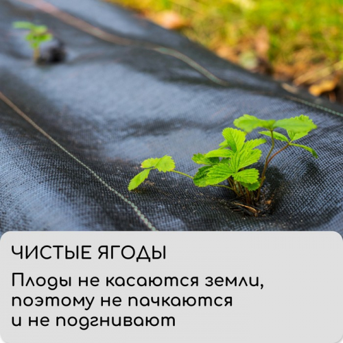 Агроткань застилочная, с разметкой, 5×1.1 м, плотность 100 г/м², полипропилен, Greengo, Эконом 50%