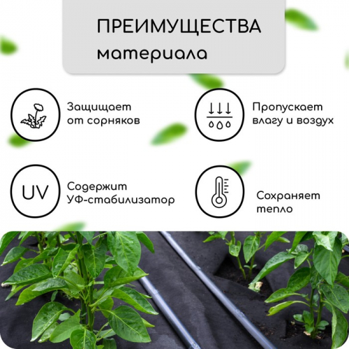 Материал мульчирующий, с перфорацией, 5×1.6 м, плотность 80 г/м², спанбонд с УФ-стабилизатором, чёрный, Greengo, Эконом 30%