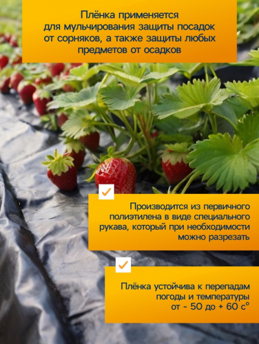 Плёнка полиэтиленовая, техническая, 80 мкм, чёрная, длина 10 м, ширина 3 м, рукав (1.5 м×2), Эконом 50%, Greengo